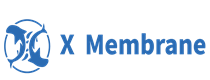 X MEMBRANE