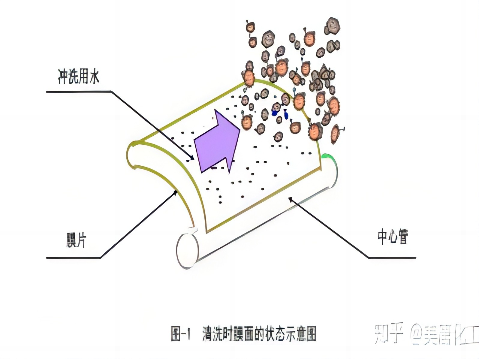WATER RO MEMBRANE RO MEMBRANE